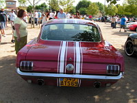Ford Mustang II Cobra, 1978 (photo prise a Amberieux, 08-2012) (2)